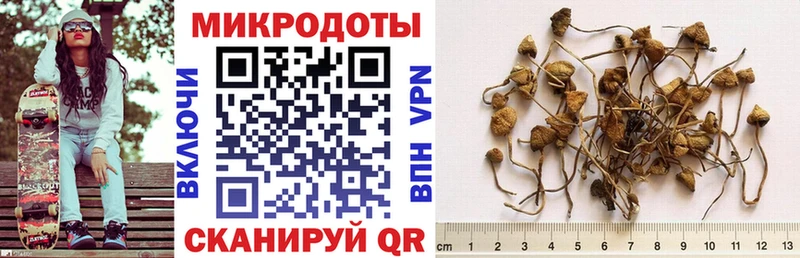 Галлюциногенные грибы мицелий  Сортавала 